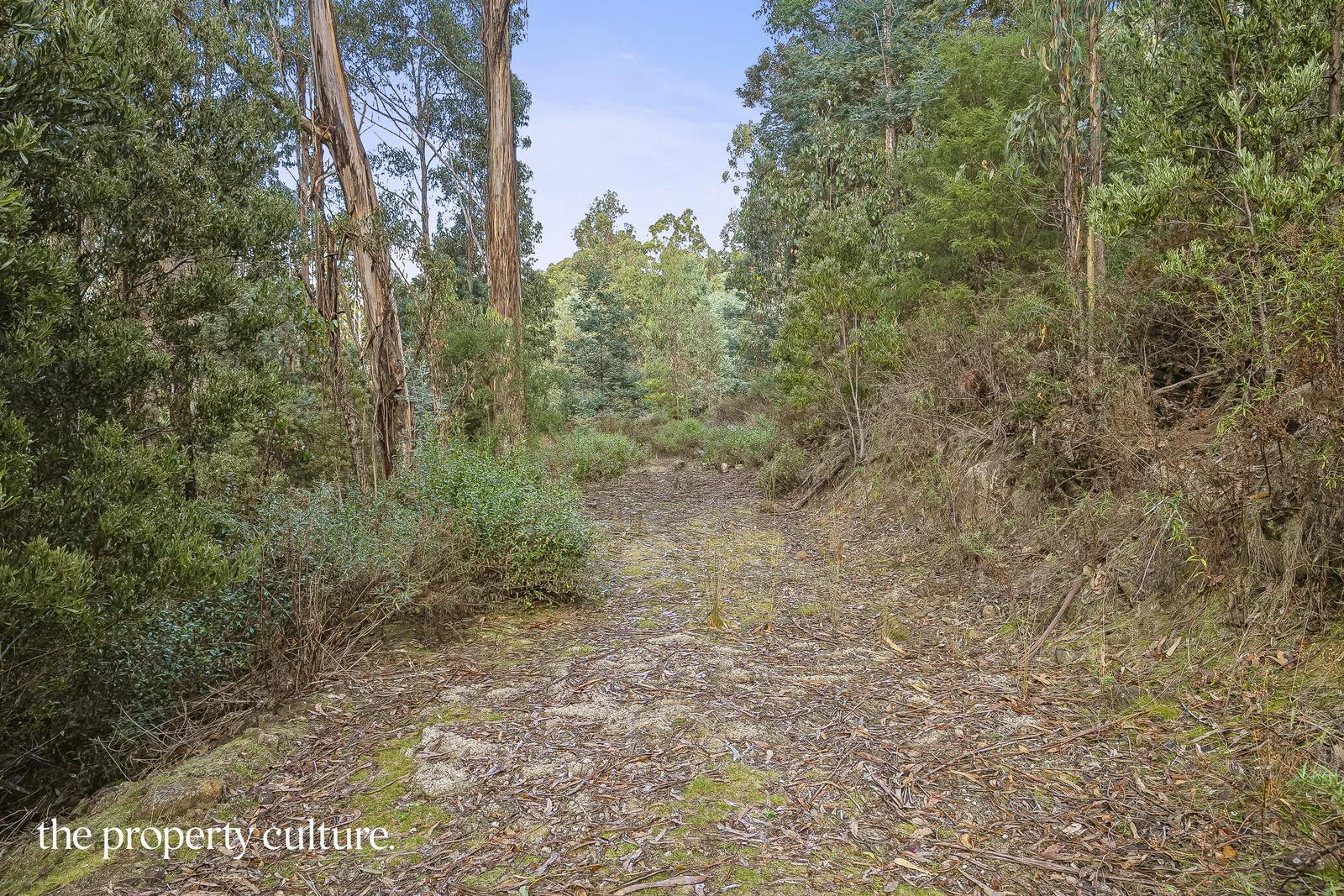 Additional image 15 of 2 Heriots Rise, Franklin TAS 7113