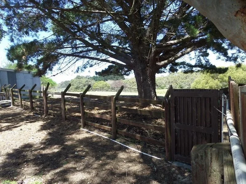 Additional image 21 of 72 DOUGHERTIES ROAD, Portland West VIC 3305