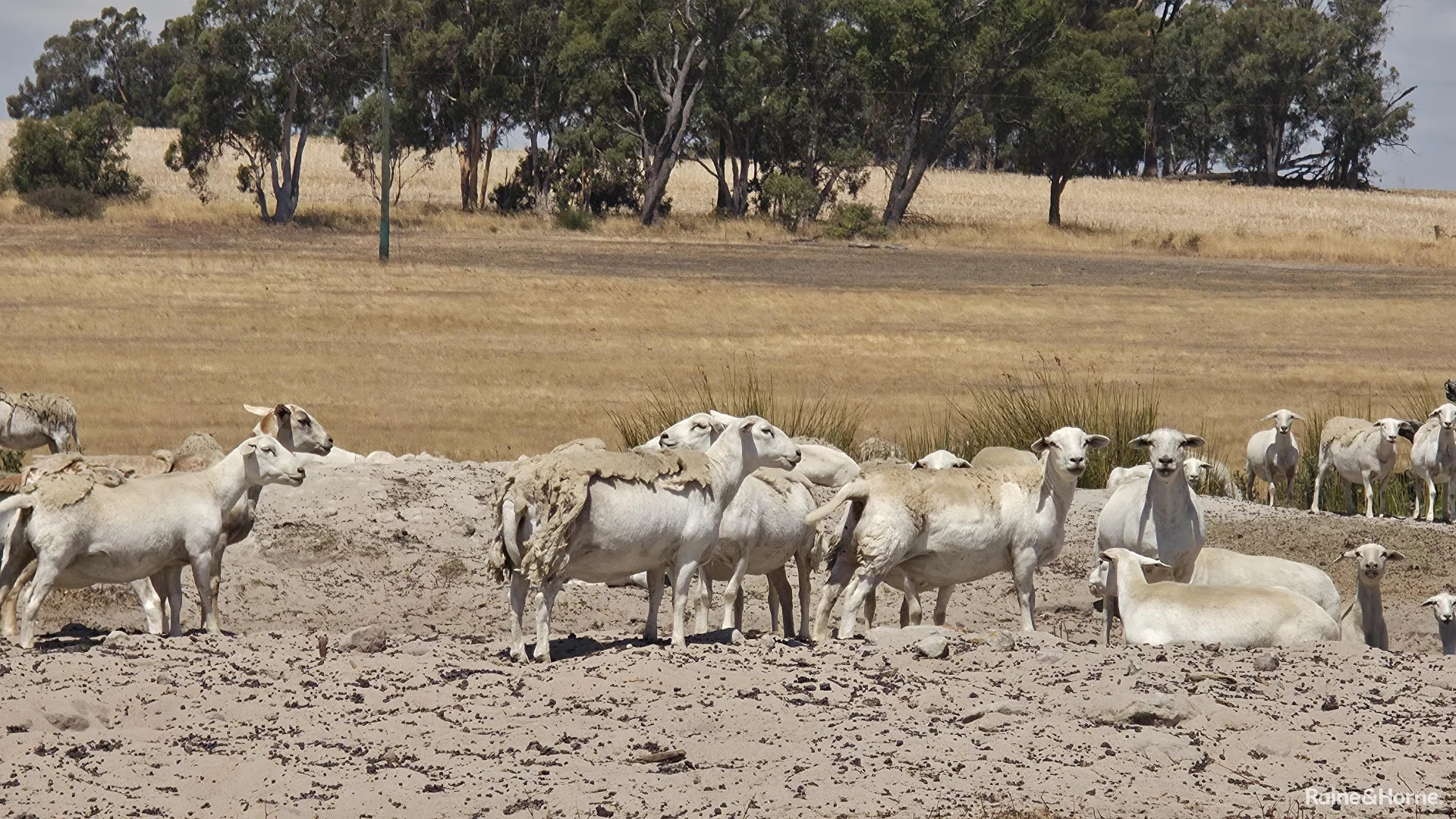 Additional image 31 of 1128 Bokal Road South, Mokup WA 6394