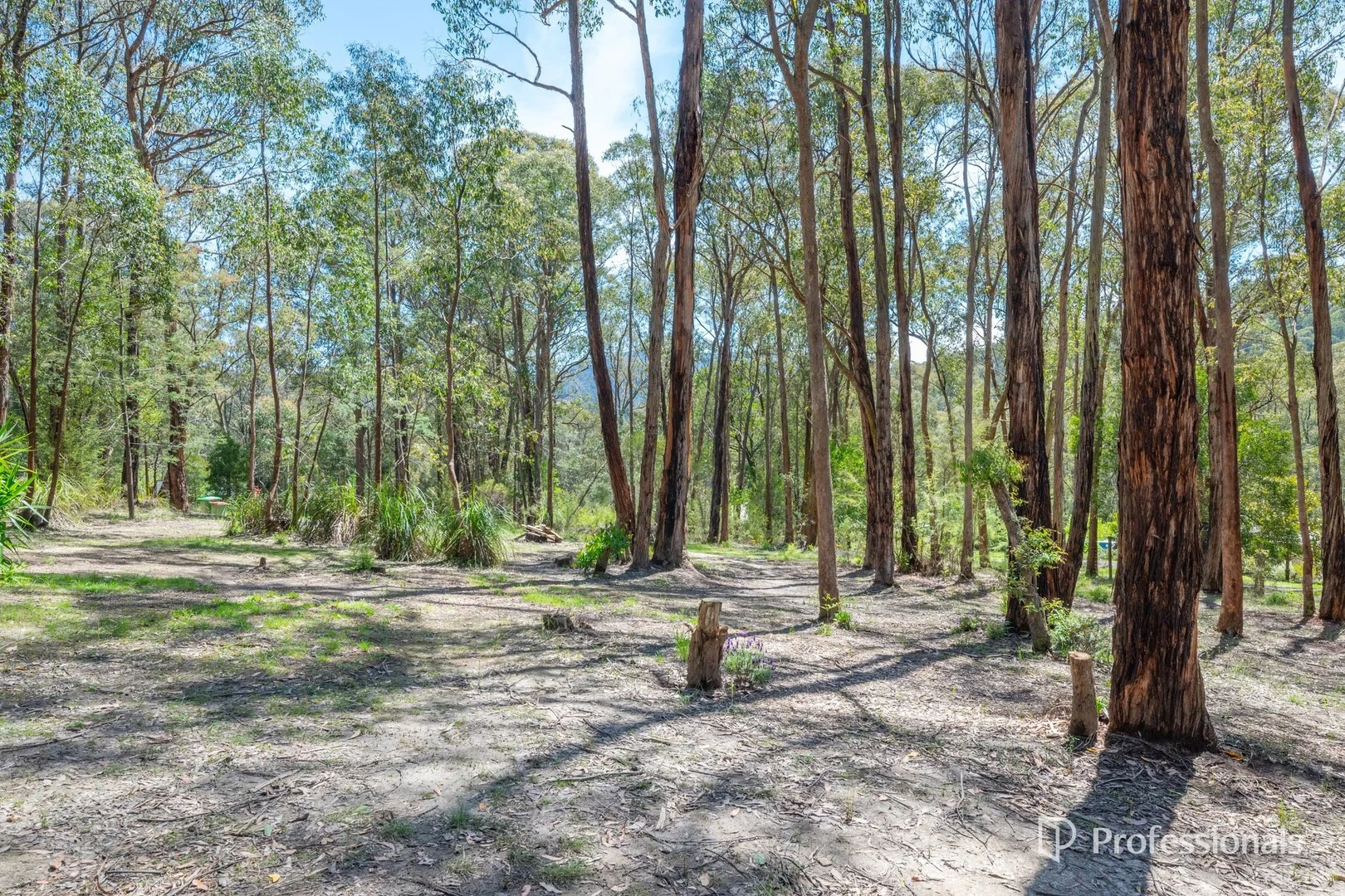 Additional image 5 of 3 Hillcrest Drive, McMahons Creek VIC 3799