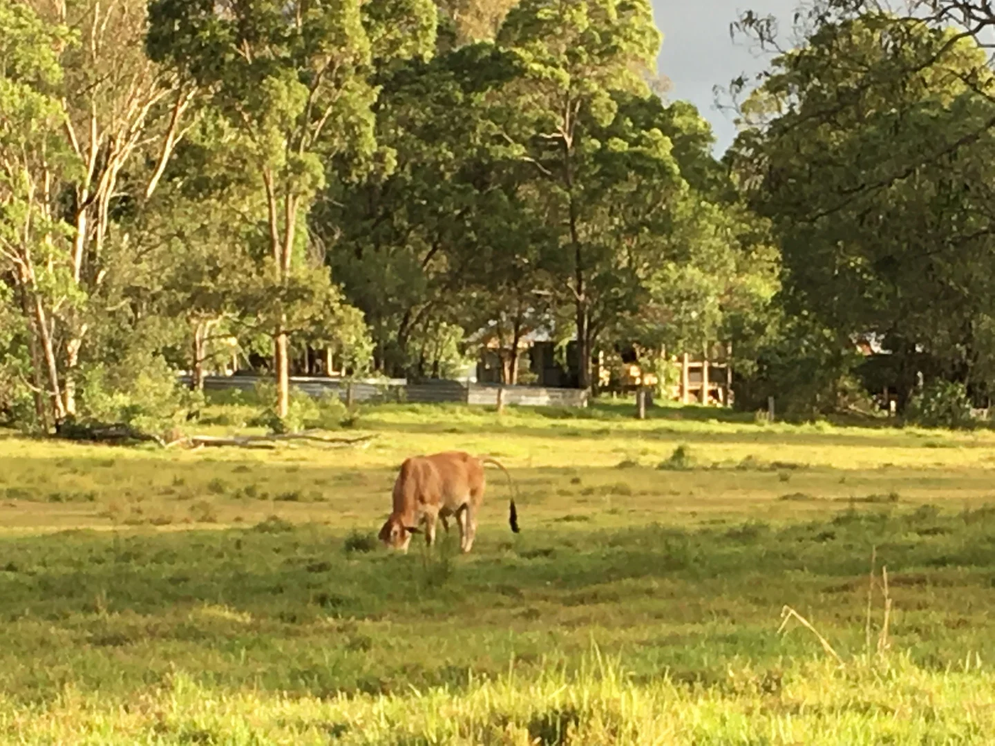Additional image 2 of Cootharaba QLD 4565