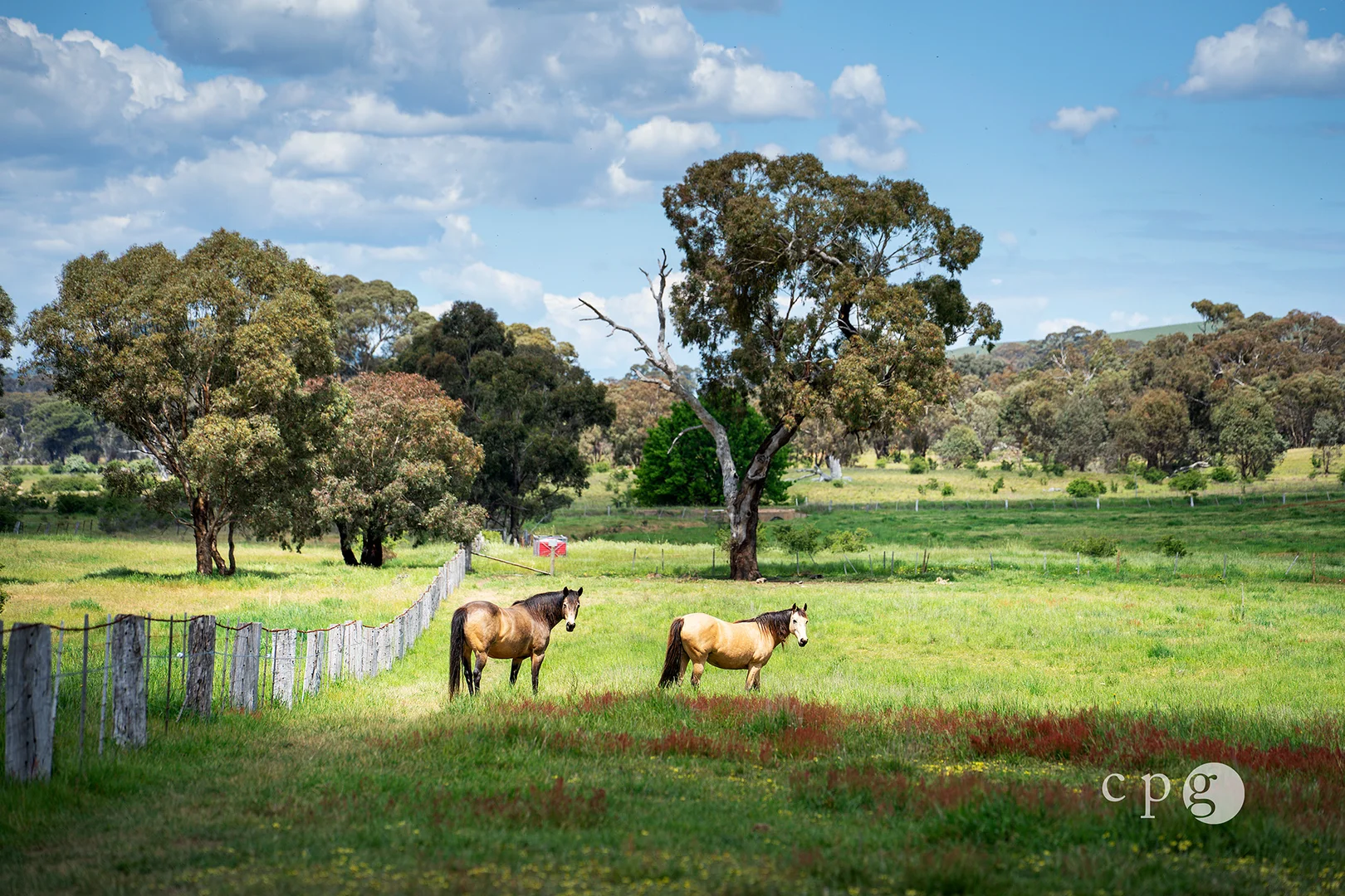Additional image 10 of Lot A Pohlman Street, Campbelltown VIC 3364