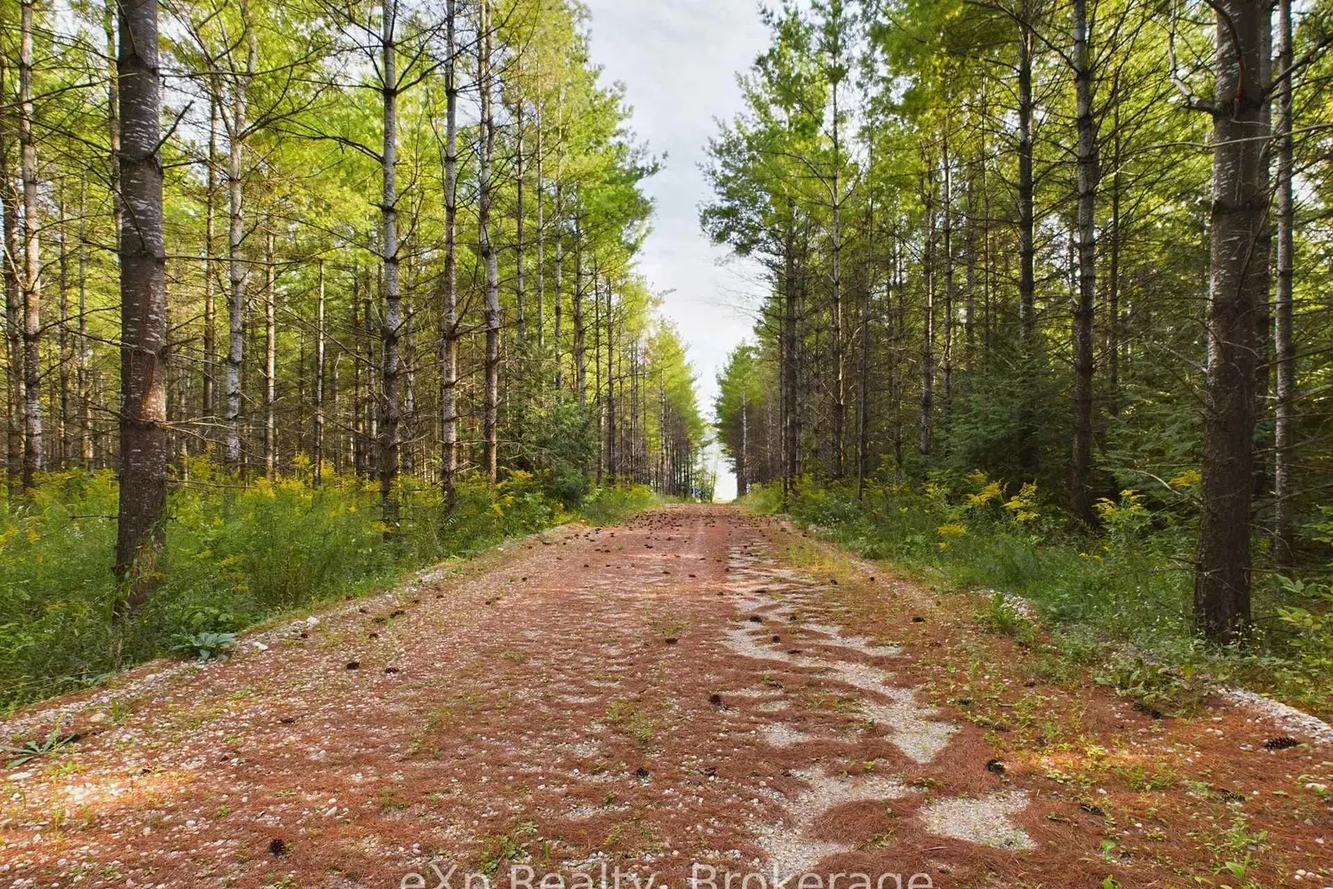 Additional image 2 of 502265 Concession 10 Ndr Concession