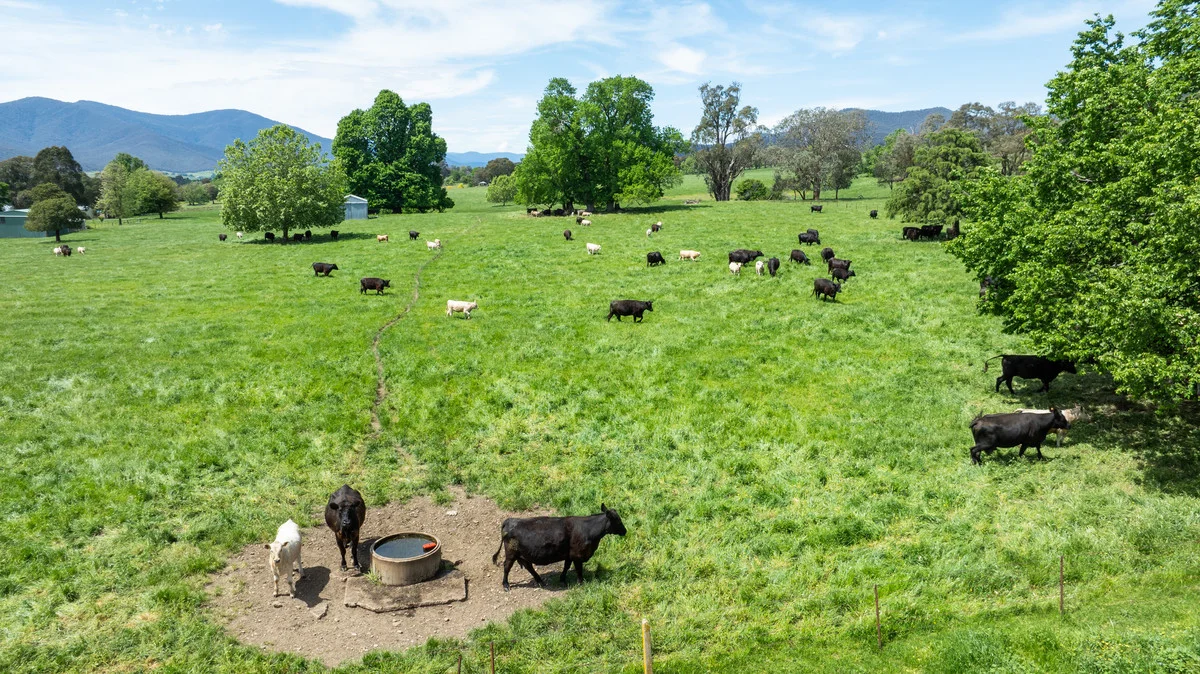 Additional image 10 of 4320 Kiewa Valley Highway, Dederang VIC 3691