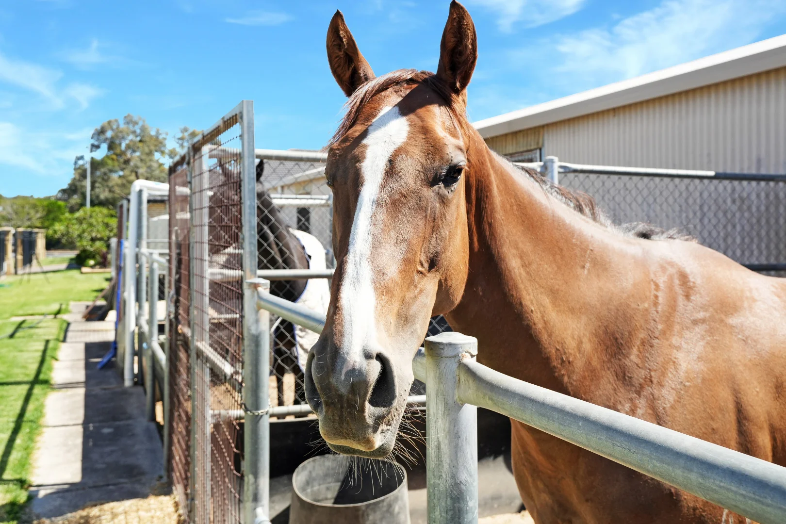 Additional image 26 of 1/51 Barnet Road, Evanston SA 5116