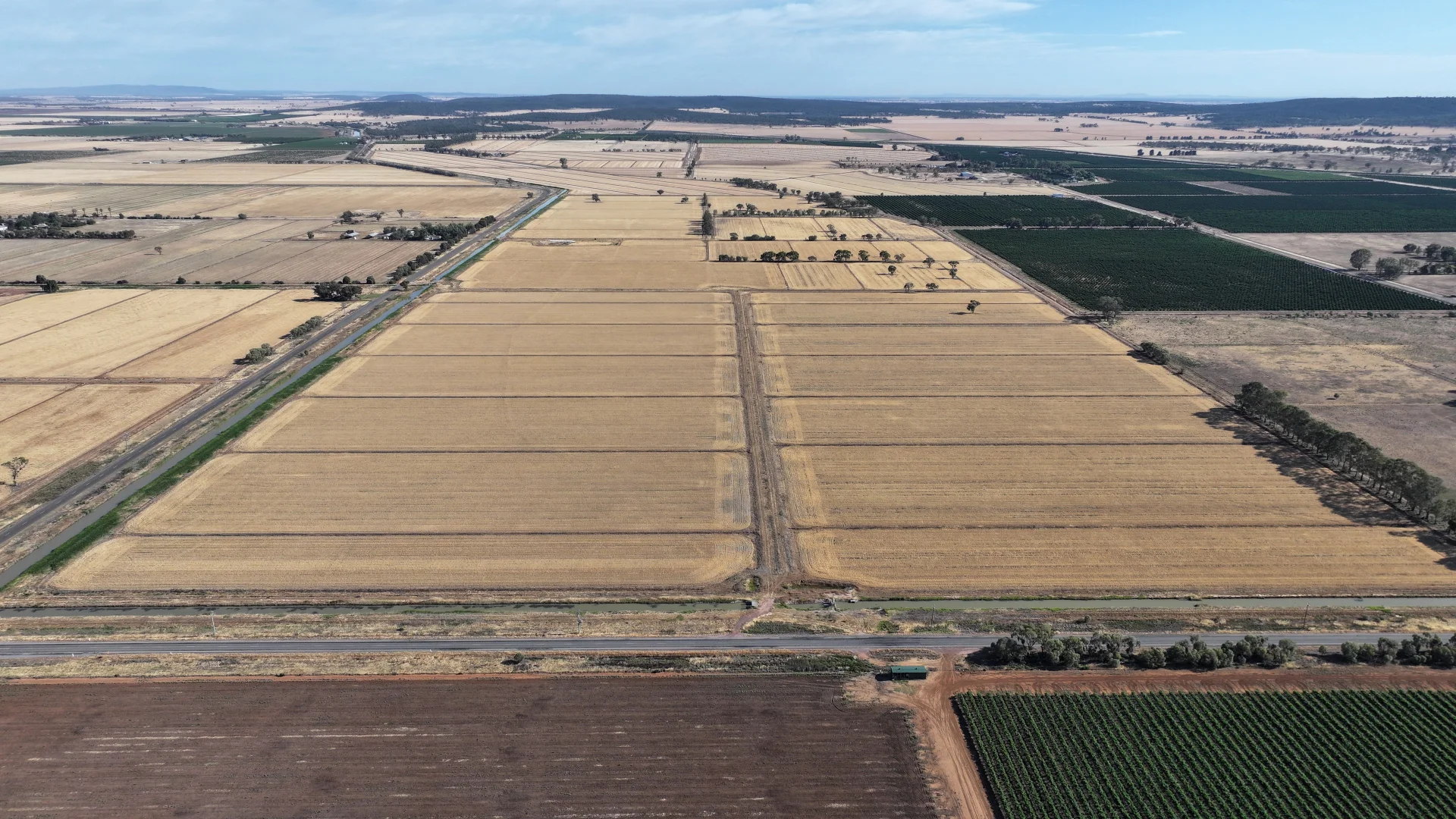 Additional image 3 of Farm 65 Stoney Point Road, Leeton NSW 2705