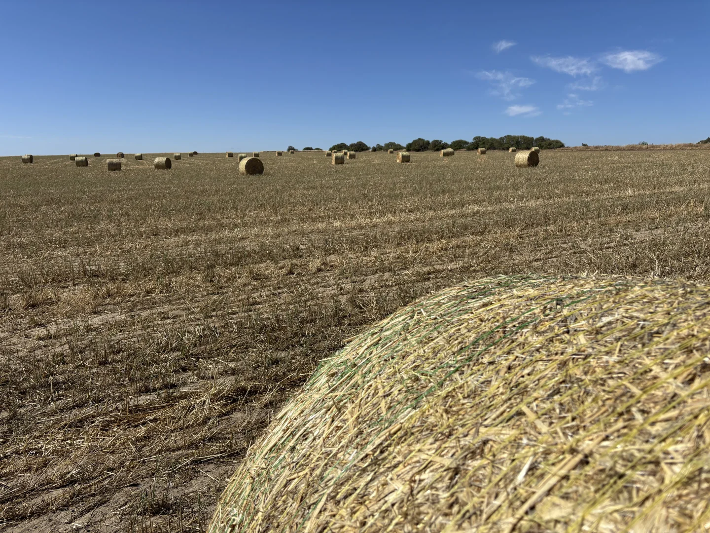 Additional image 7 of . 'Cobbers Soak', Quairading WA 6383