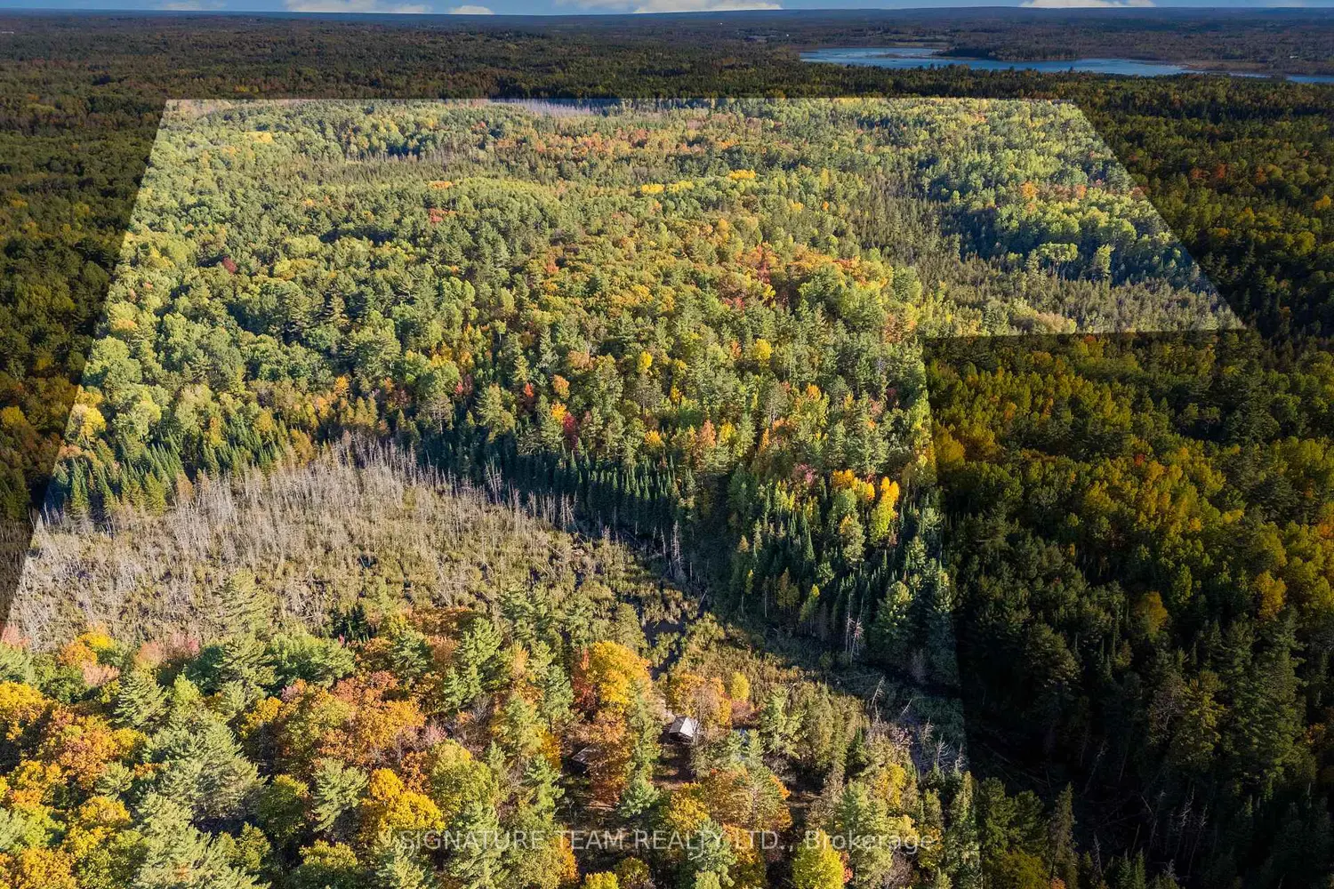 Additional image 4 of 455 Passaw Road
