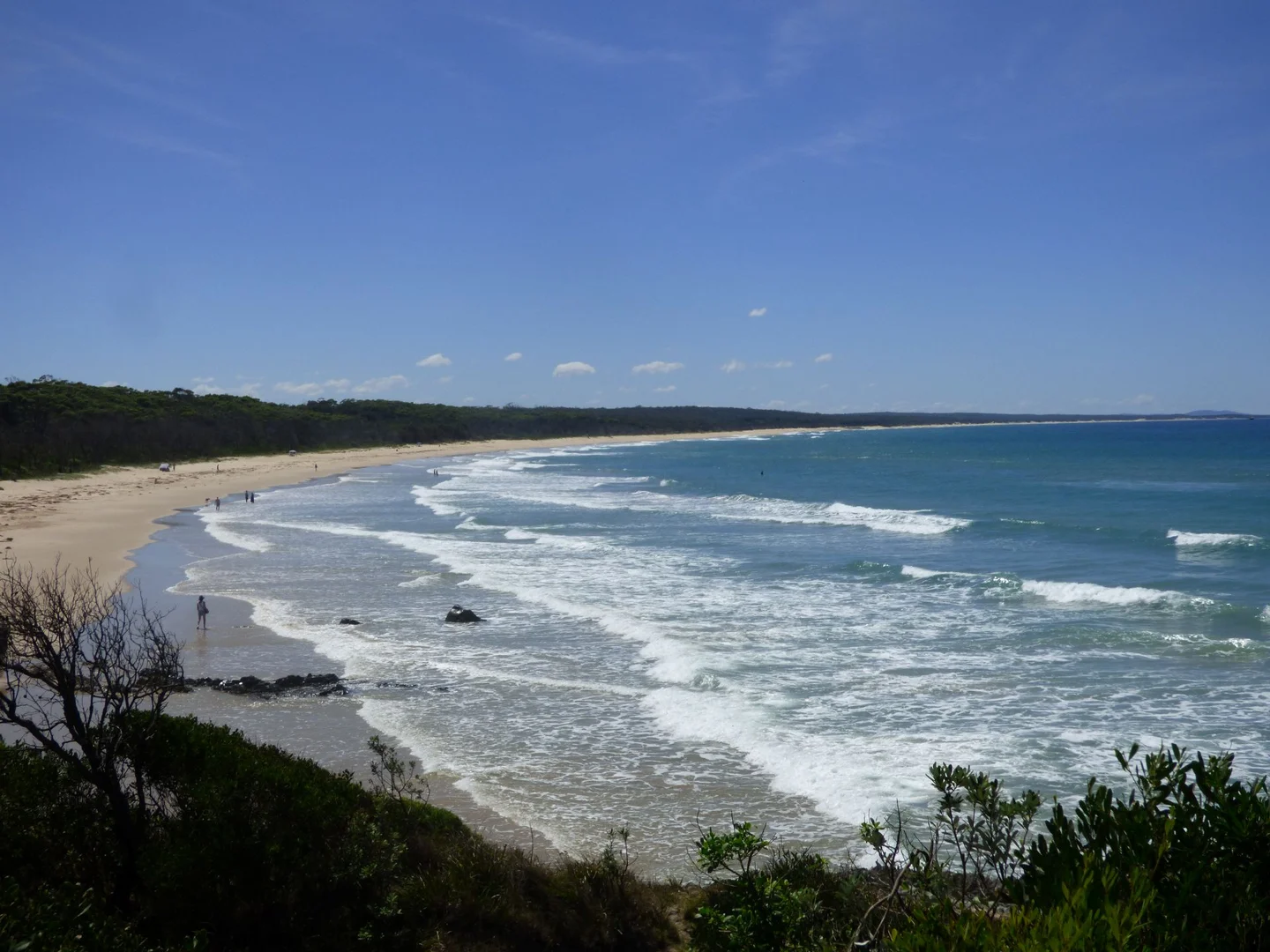 Additional image 34 of 218 Cabbage Tree - Conran Road, Cabbage Tree Creek VIC 3889