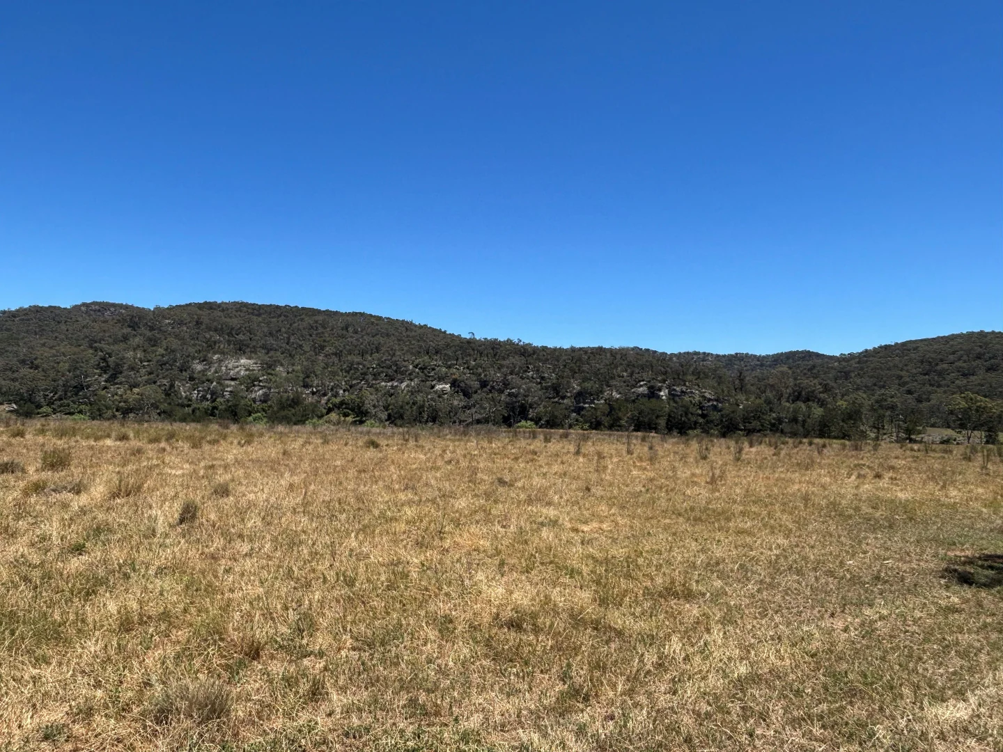 Additional image 5 of 2080 Bylong Valley Way, Baerami NSW 2333