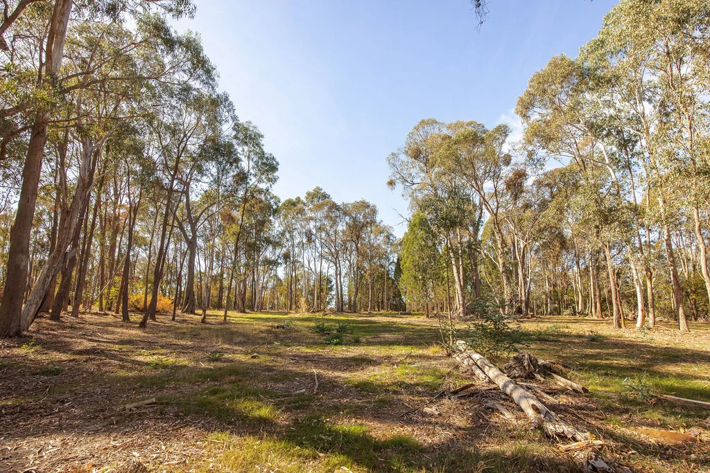 Additional image 31 of 7 Silver Creek Avenue, Yackandandah VIC 3749