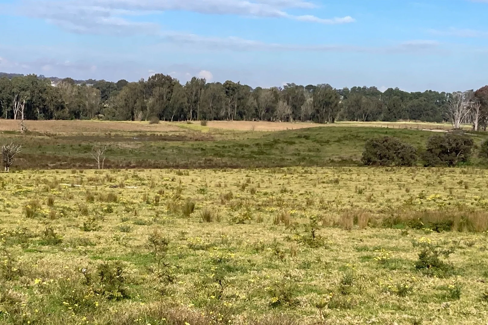 Additional image 8 of 84 Burdekin Road, Wilberforce NSW 2756