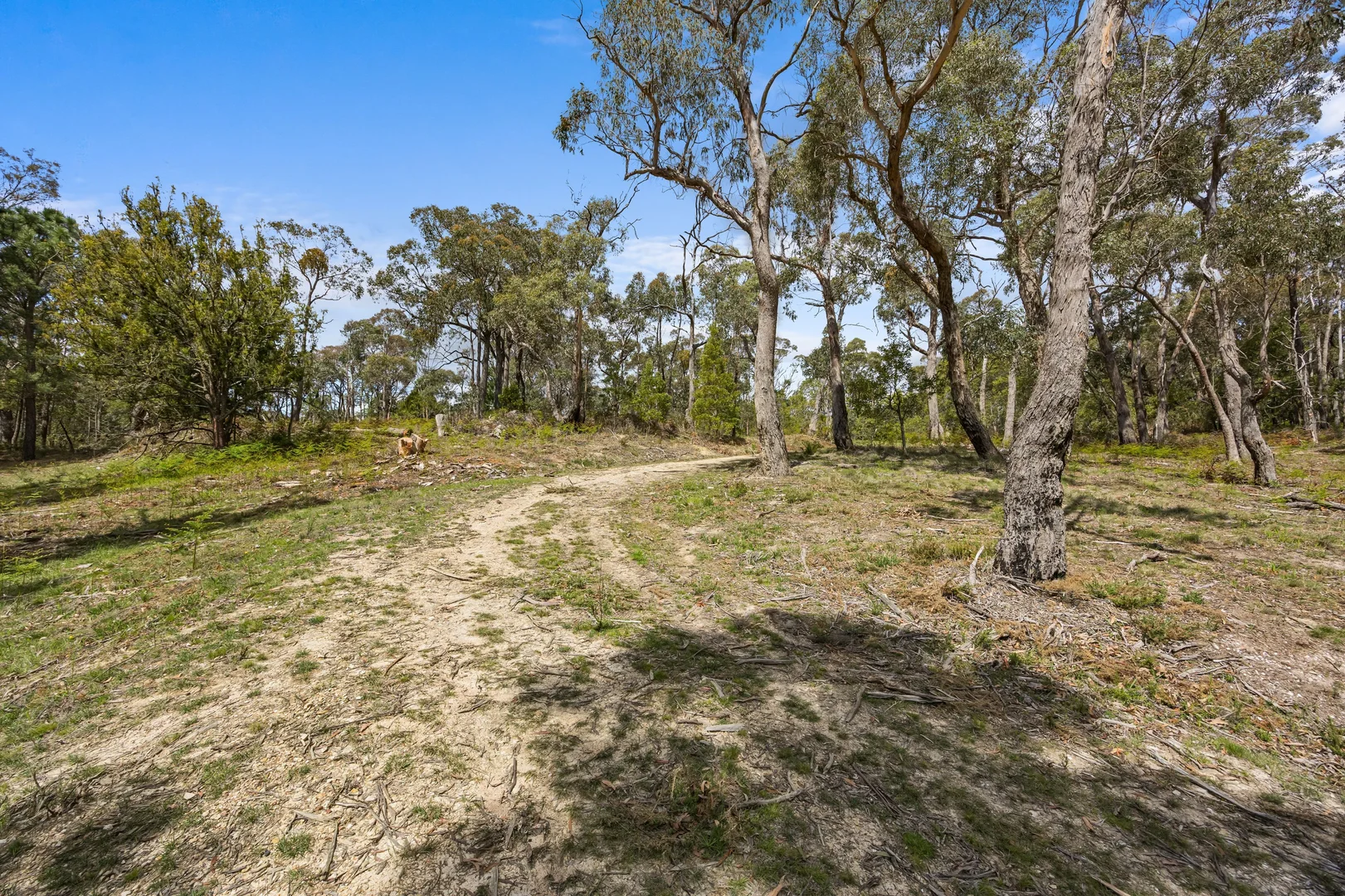 Additional image 13 of 628 Linton-carngham Road, Snake Valley VIC 3351