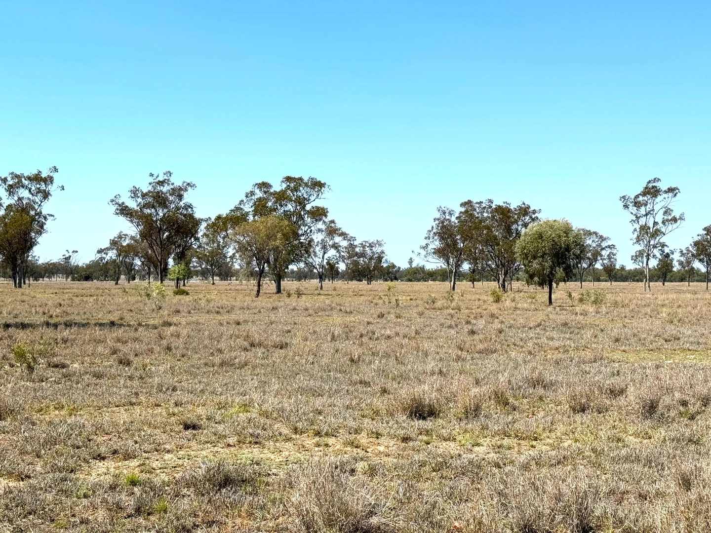 Additional image 2 of 167 Geoghegan Road, Roma QLD 4455