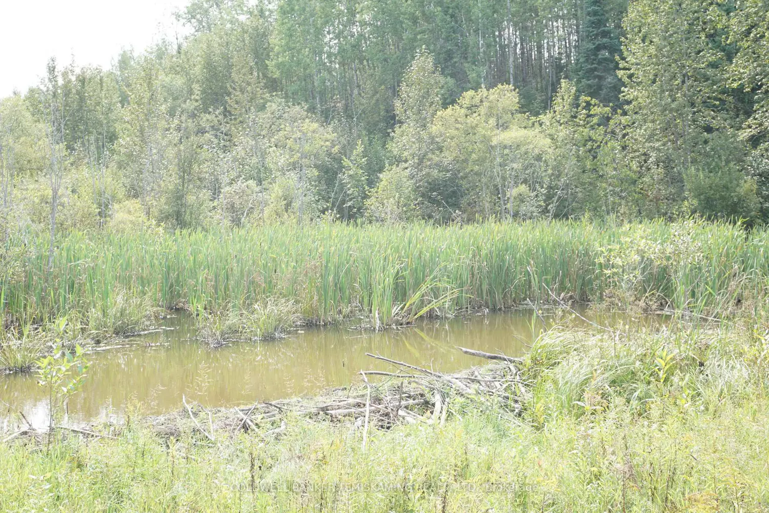 Additional image 17 of Lot 1 Campbell's Road