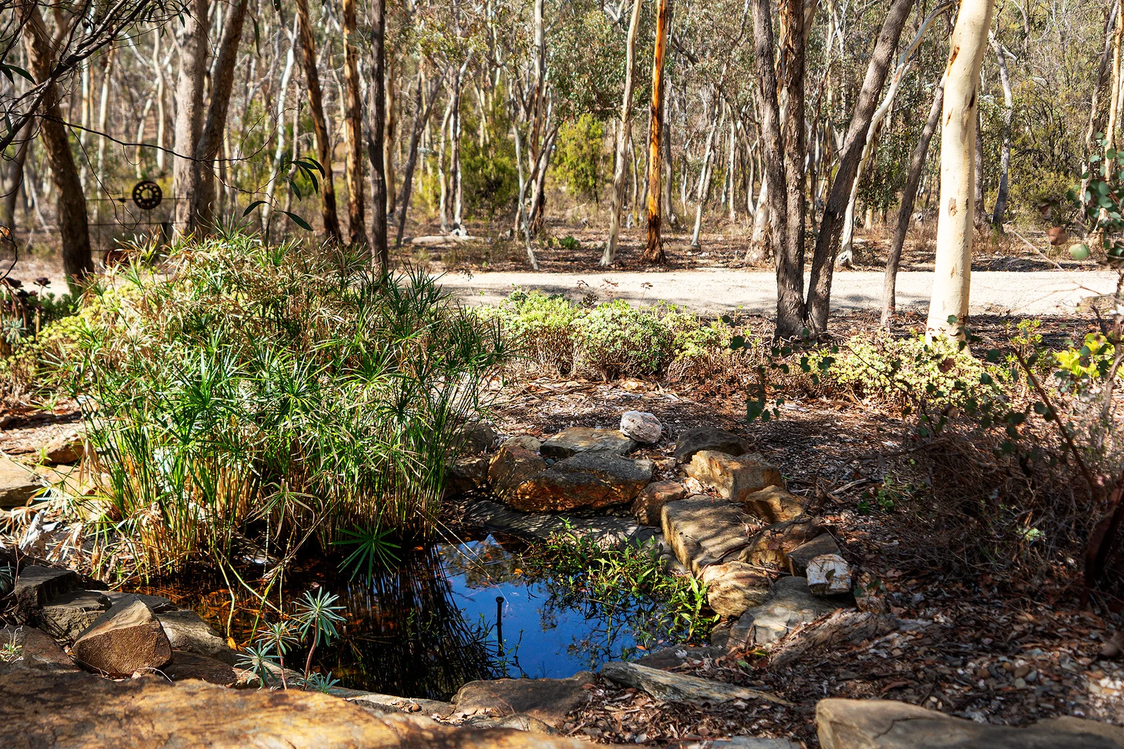 Additional image 15 of 160 Willy Milly Road, McKenzie Hill VIC 3451