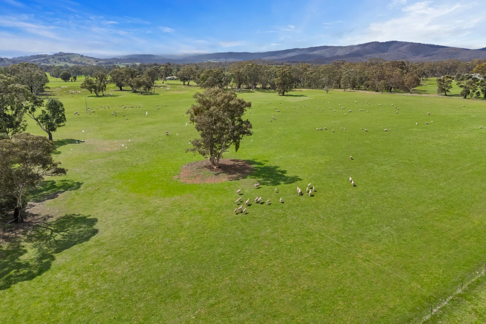 Additional image 4 of 441 Frenchmans - St Arnaud Road, Barkly VIC 3384