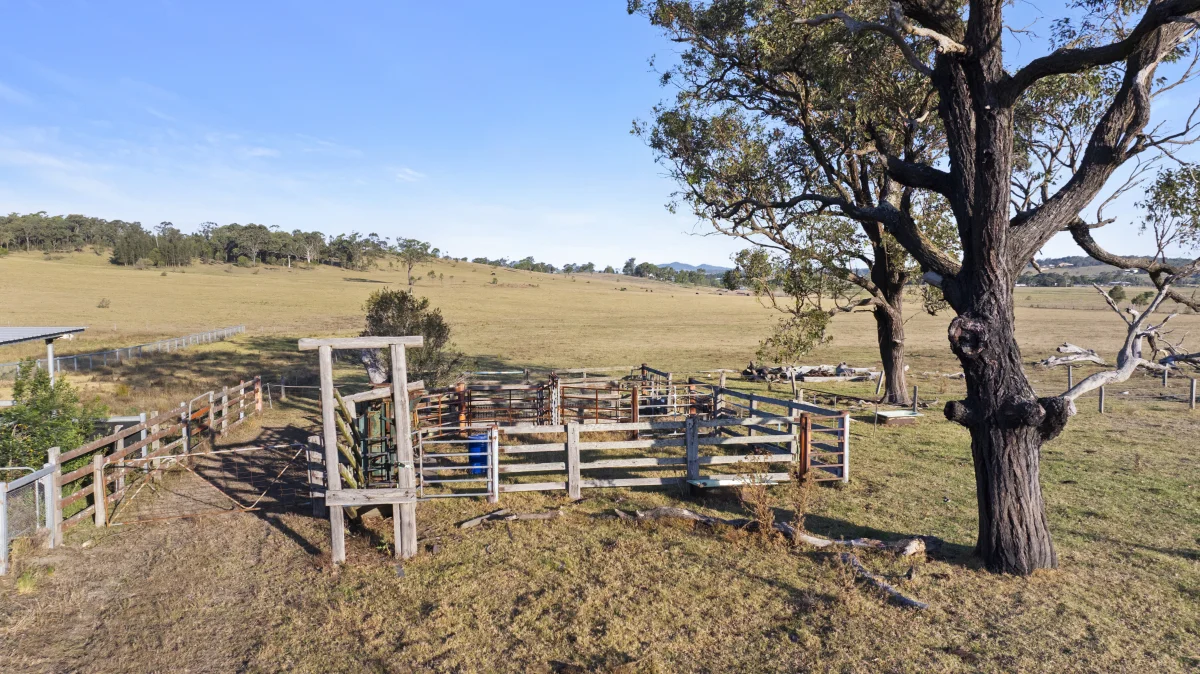 Additional image 17 of 880D Elderslie Road, Elderslie NSW 2335