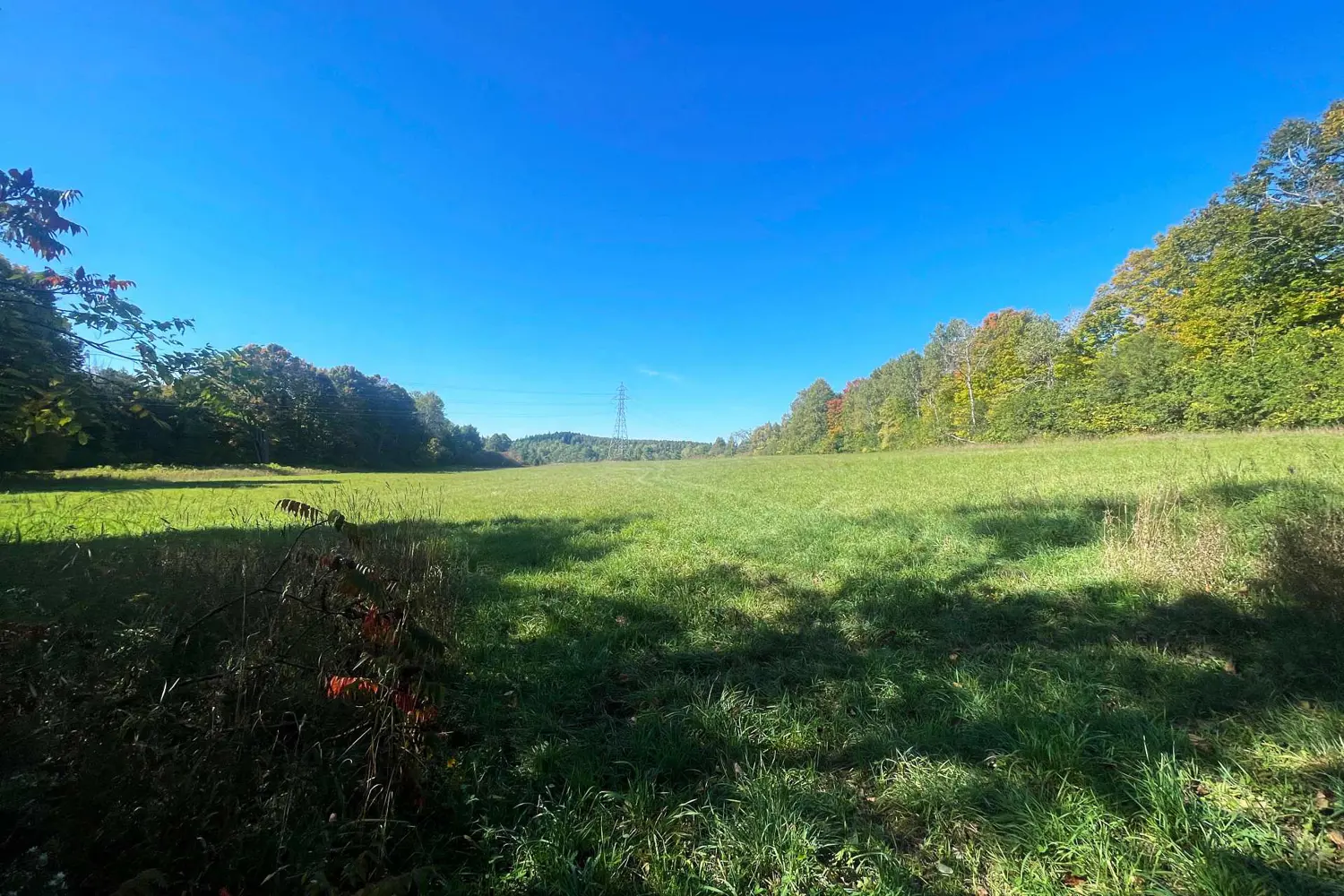 Additional image 5 of 00 Jamieson Road Lot C