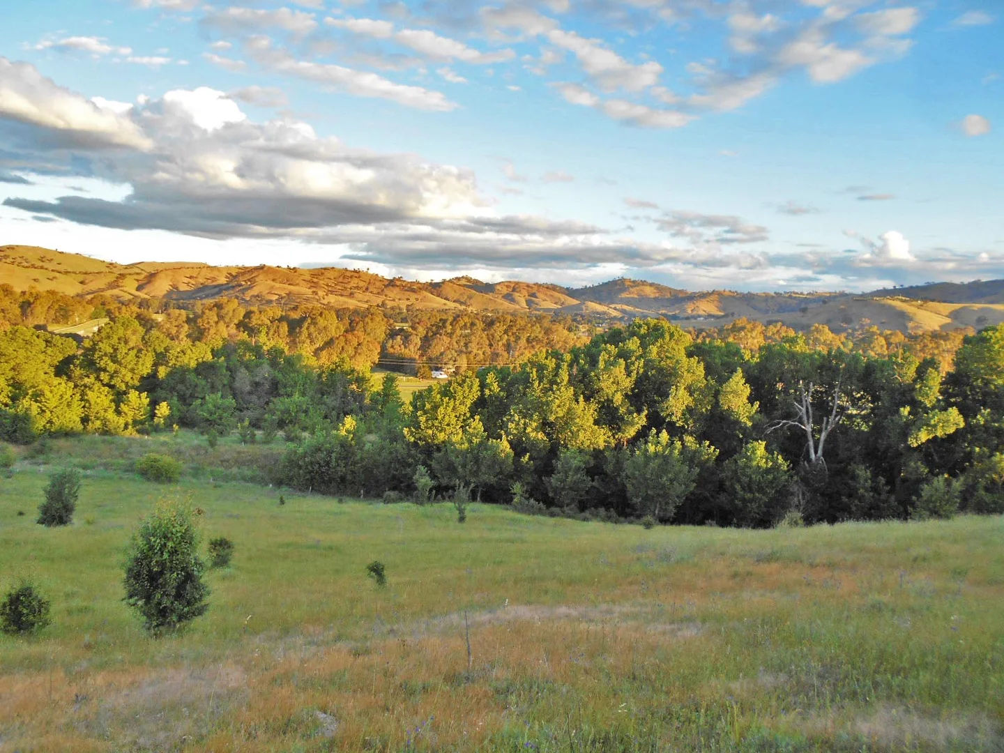 Additional image 25 of 30 Hanley & Moon Street, Gundagai NSW 2722