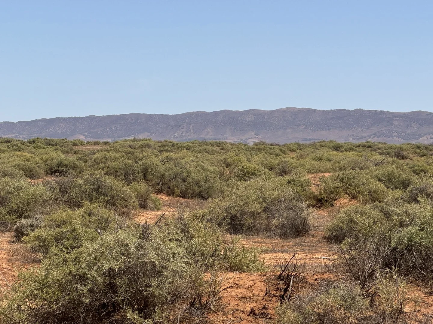 Minburra/Lynch Road, Minburra SA 5431