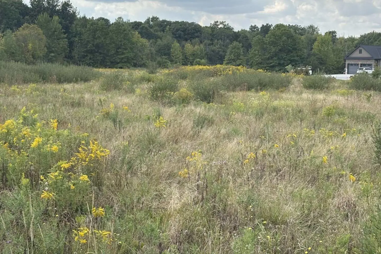 Additional image 3 of N/A Green Road