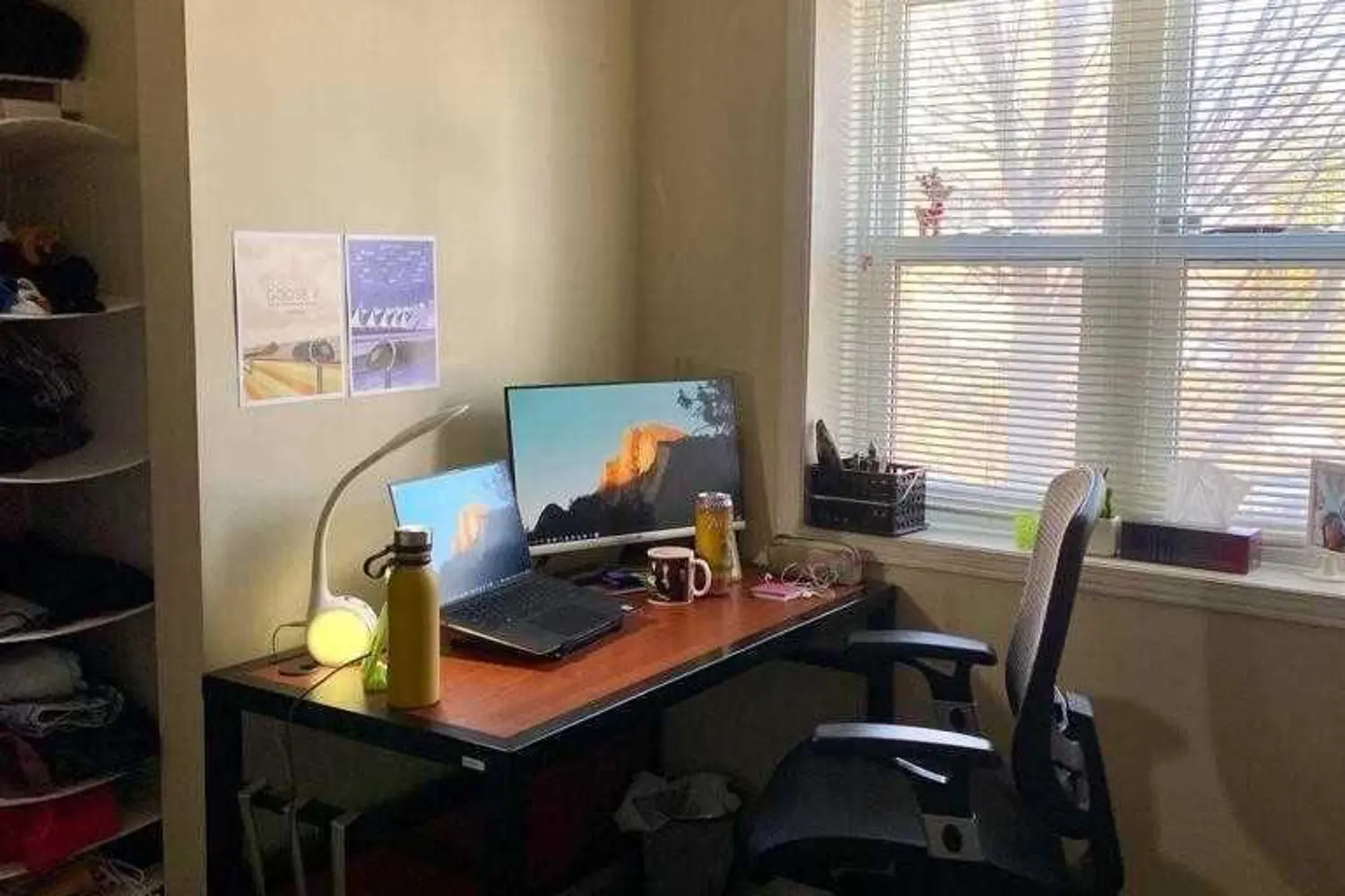 Additional image 9 of 261 Lester Street 101