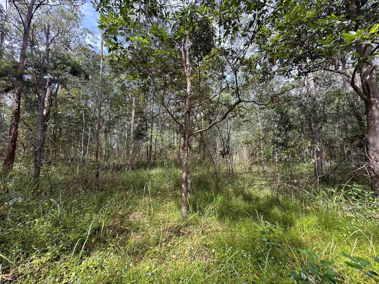 Additional image 3 of Lot 753 Arbortwenty eight, Glenwood QLD 4570