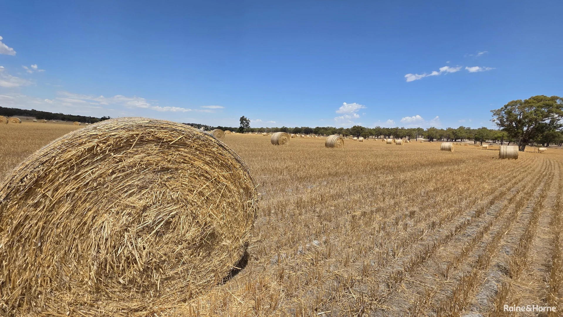 Additional image 33 of 1128 Bokal Road South, Mokup WA 6394