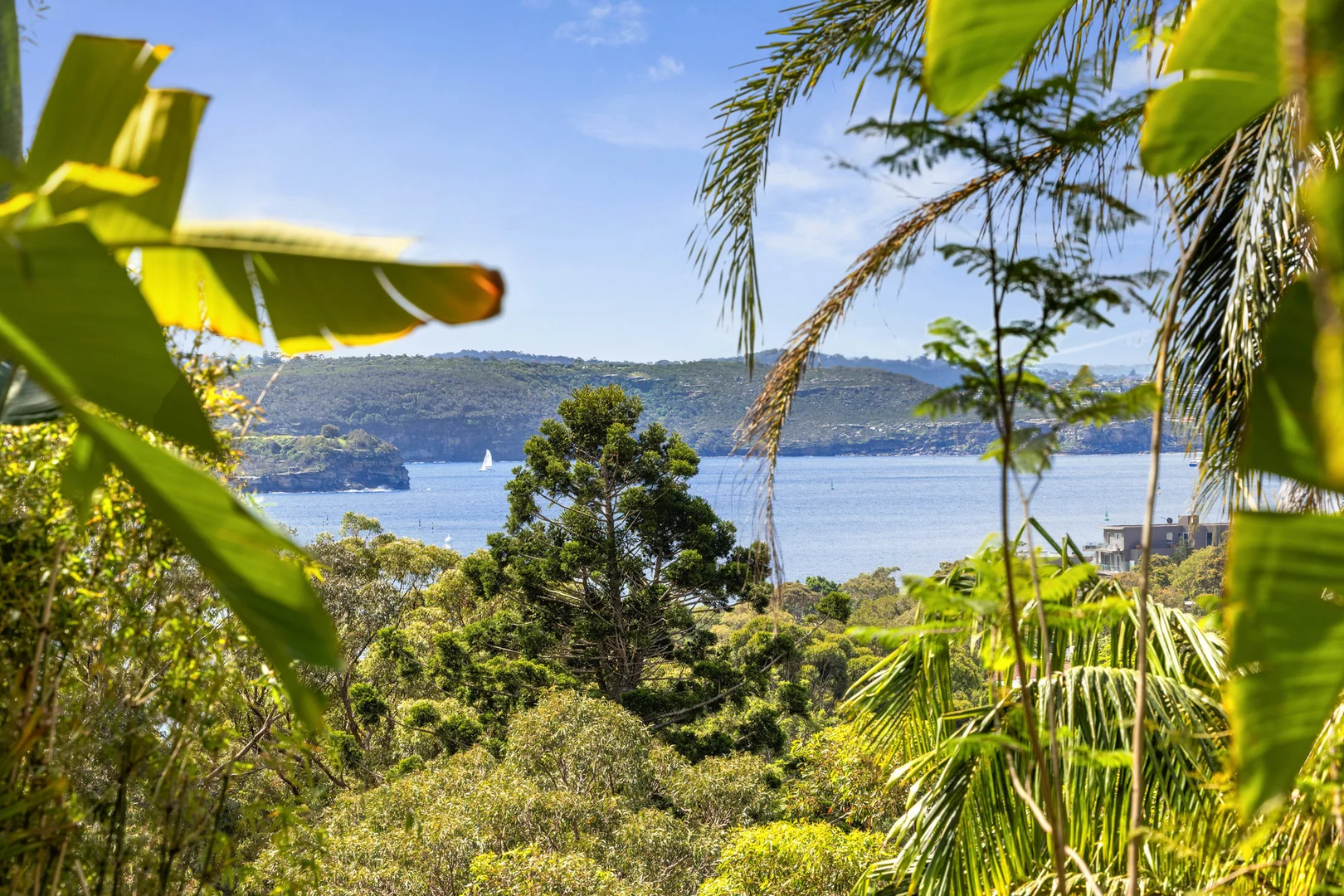 Additional image 10 of 29 Olola Avenue, Vaucluse NSW 2030