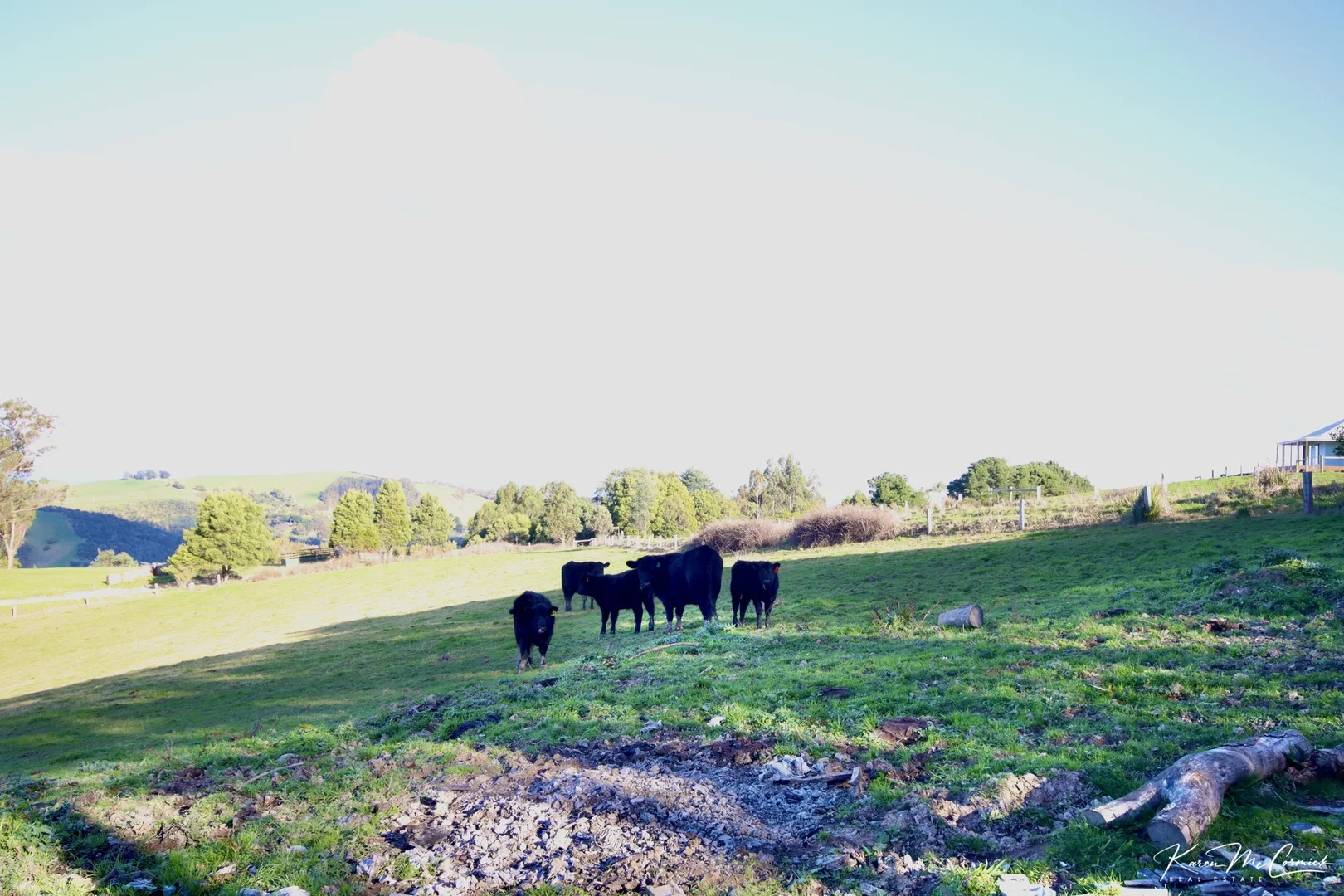 Additional image 12 of 200 Wonga Square Top Road, Wonga VIC 3960