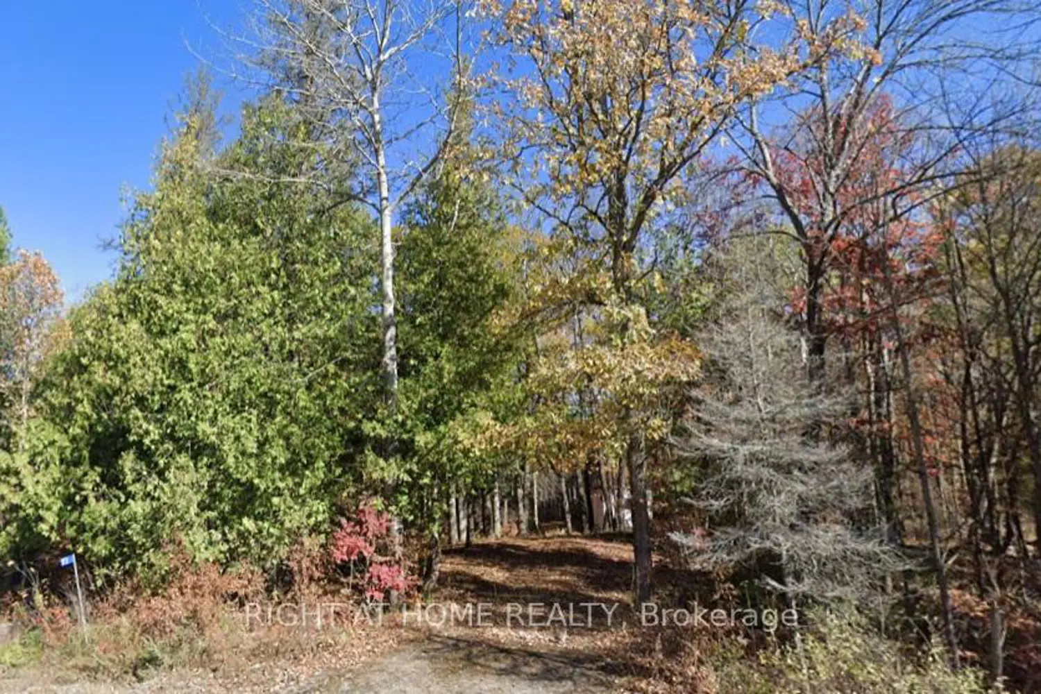 93 Mccleary Road