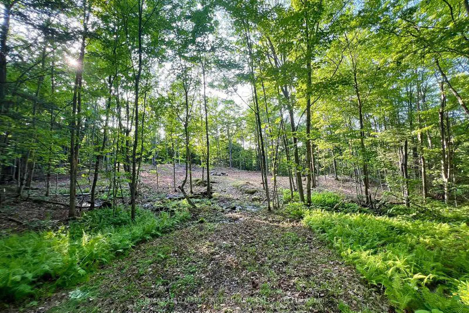Additional image 9 of 678 Centreview Road