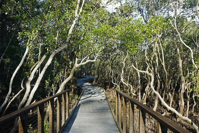 Additional image 29 of 8/18 Tallebudgera Creek Road, Burleigh Heads QLD 4220