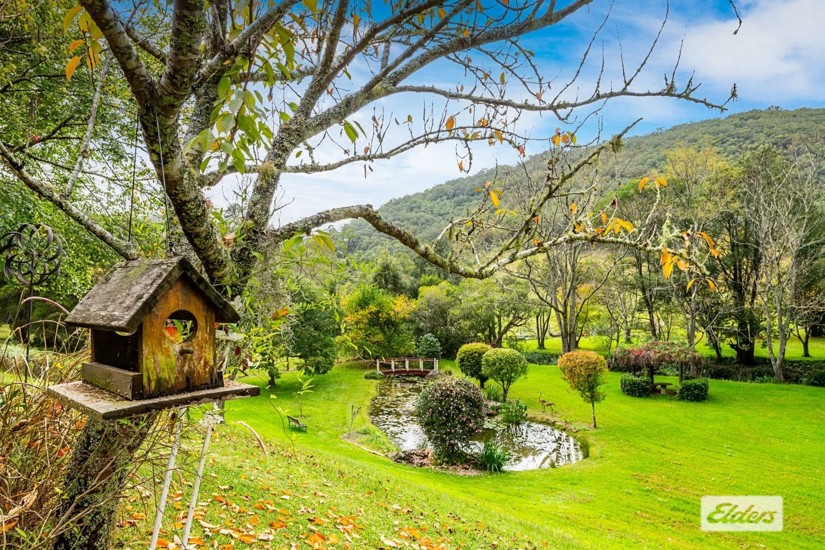 Additional image 2 of 111 Bunning Creek Road, Yarramalong NSW 2259