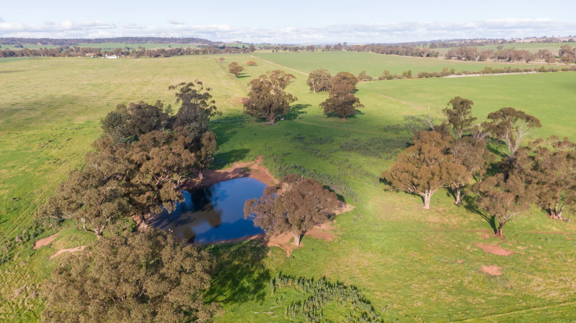 Additional image 10 of Kincora & Poachers Millwood Road, Coolamon NSW 2701