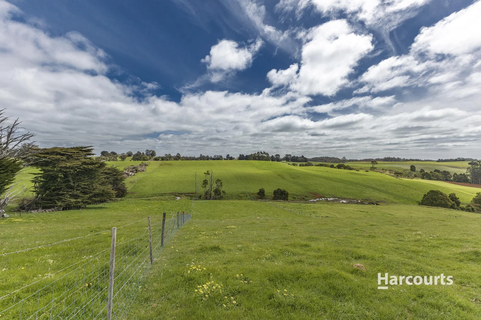 Additional image 28 of 734 Ridgley Highway, Ridgley TAS 7321