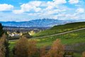 Additional image 48 of 16224 Cordovan Ct, Chino Hills, CA, 91709
