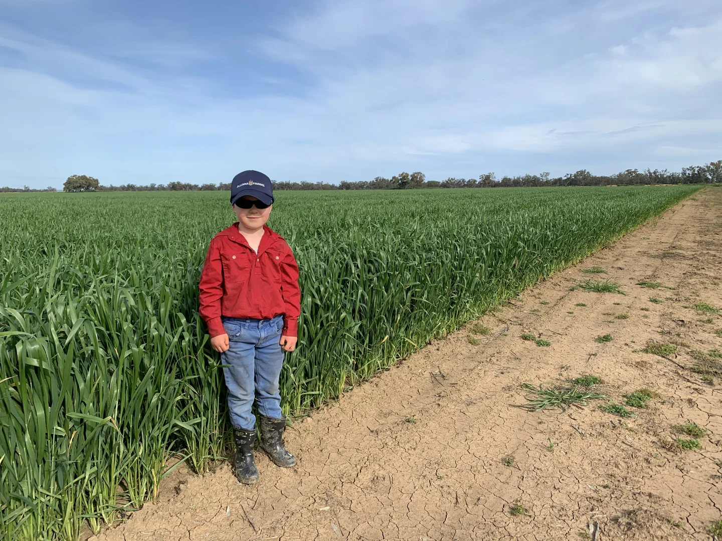 Additional image 20 of 4005 Lachlan Valley Way, Forbes NSW 2871