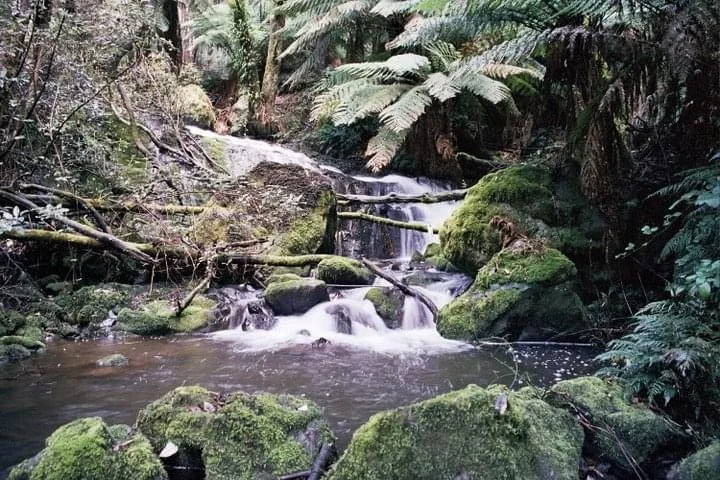 Additional image 33 of 130 Raymond Road, Gunns Plains TAS 7315