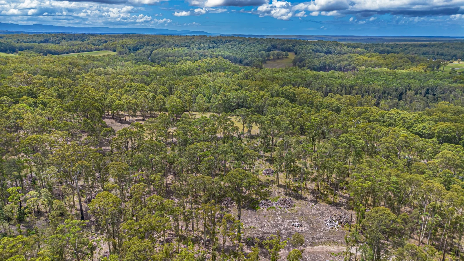 Additional image 16 of 42 Turpentine Road, Tomerong NSW 2540