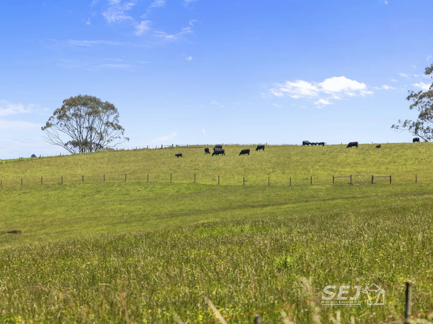 Additional image 28 of 155 Coulters Road, Mardan VIC 3953