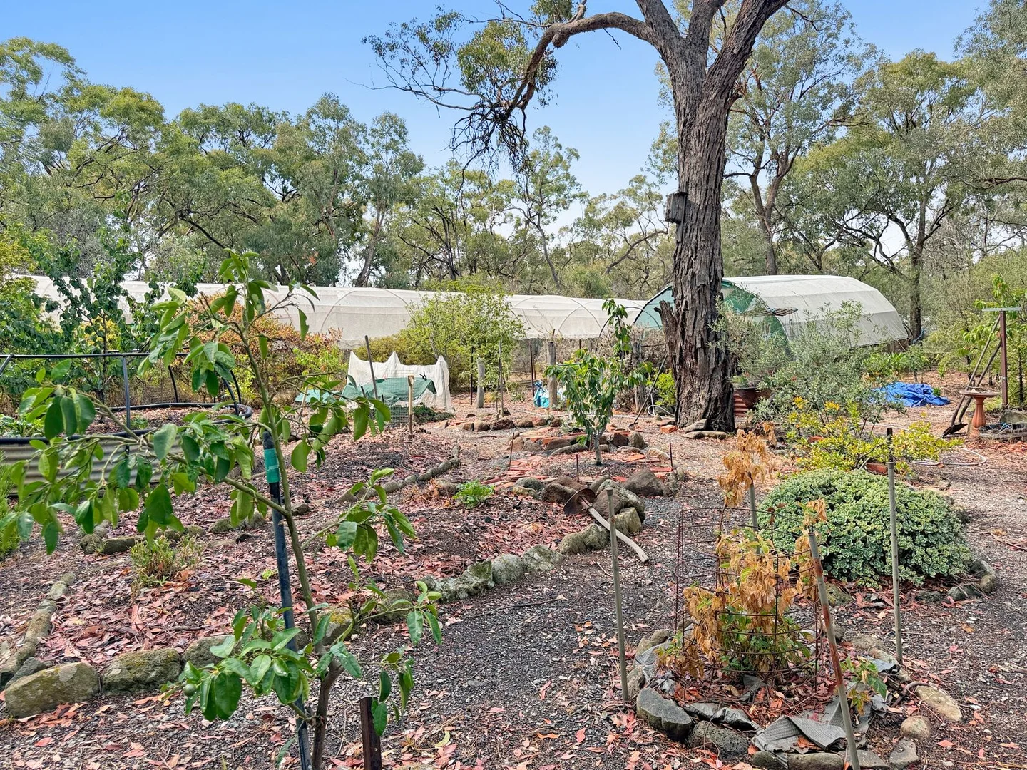 Additional image 24 of 554 Caralulup Road, Lamplough VIC 3352