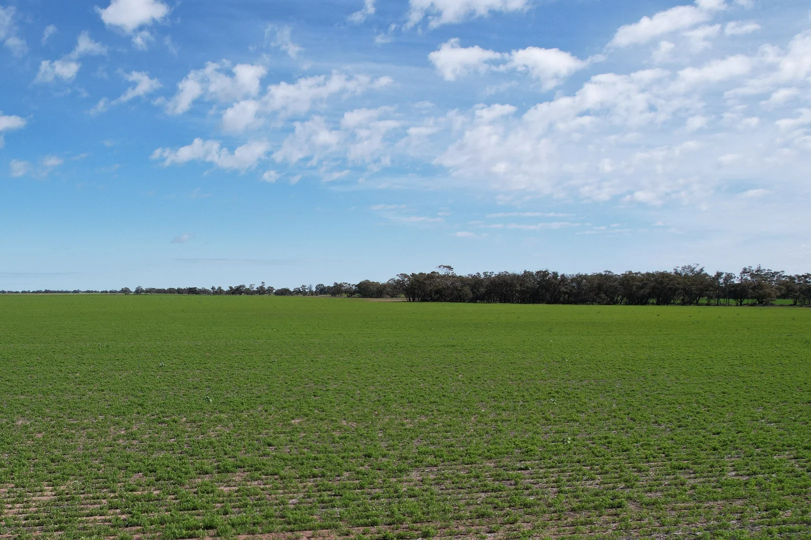 Additional image 2 of Barbers Road, Thalia VIC 3527