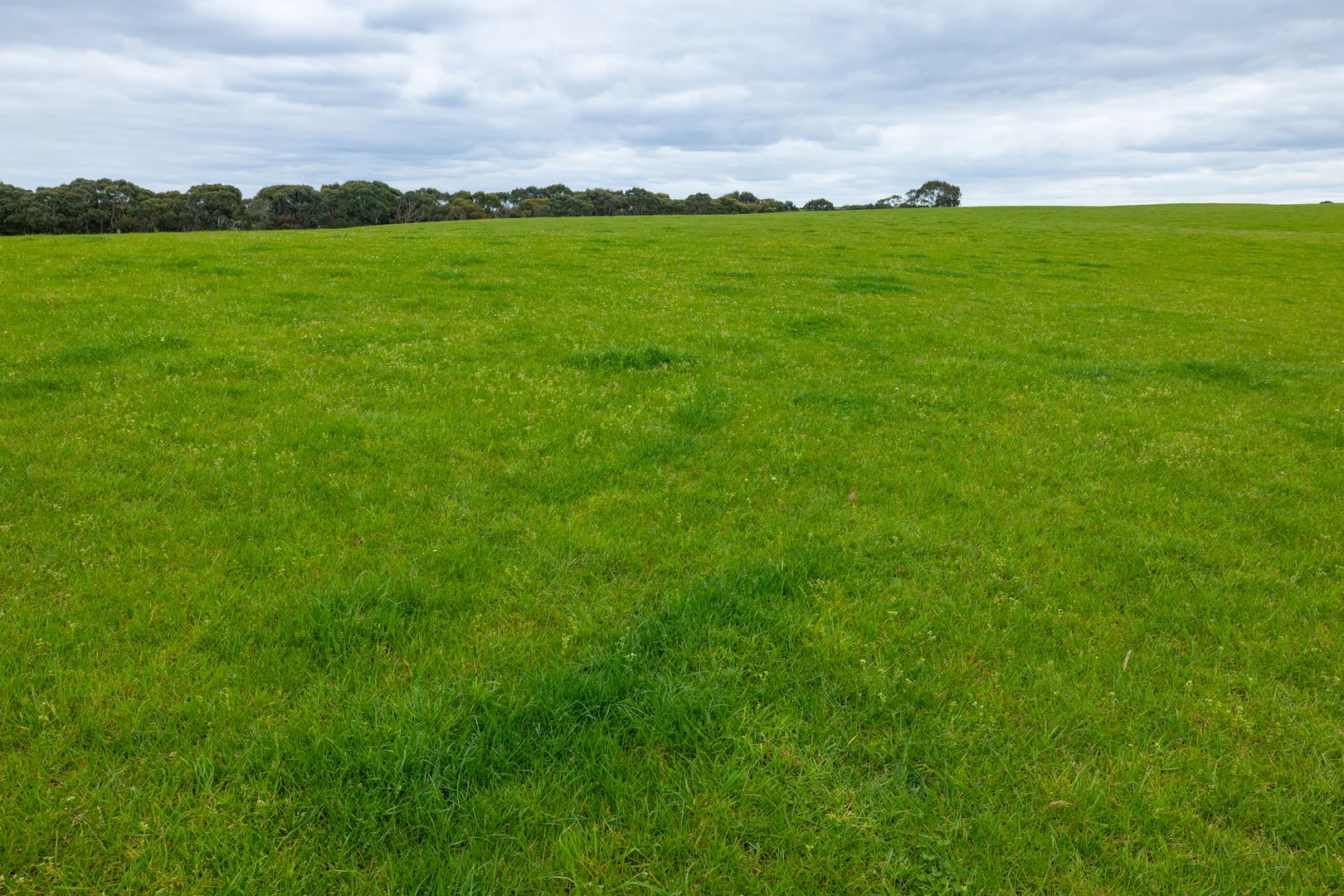 Additional image 23 of 115 Begleys Road, Allansford VIC 3277