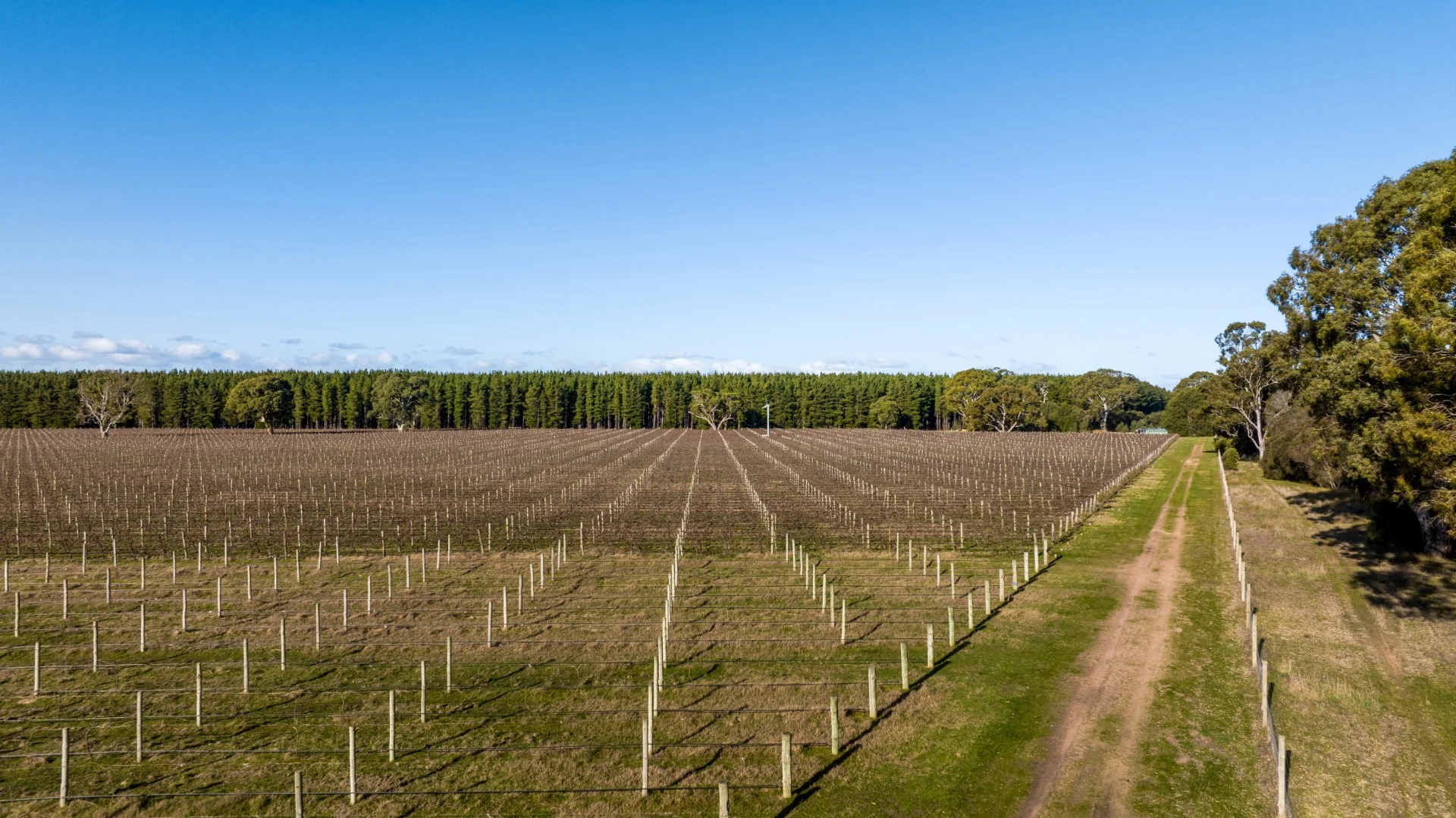 Additional image 15 of 719 Casterton Road, Penola SA 5277