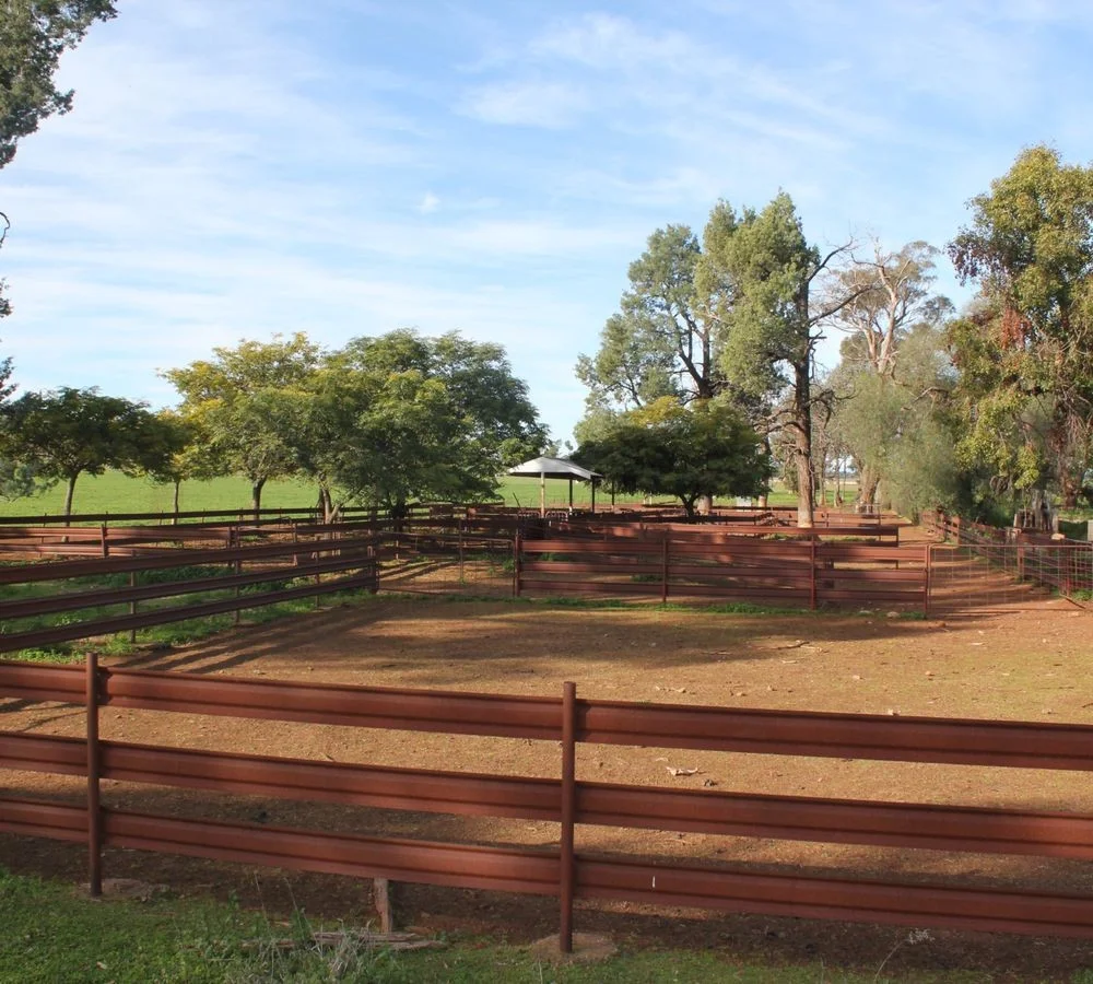 Additional image 21 of 3166 Back Trundle Road, Parkes NSW 2870