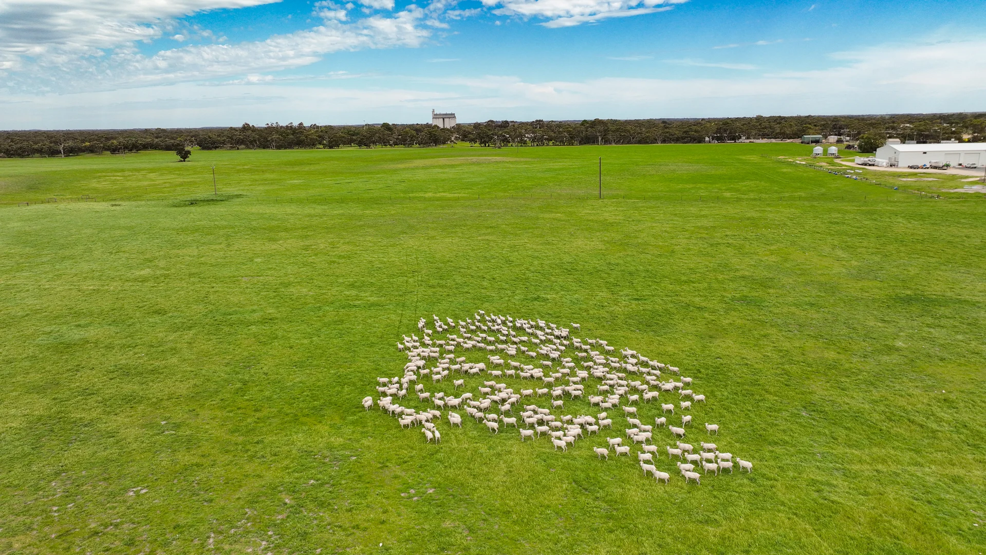 Additional image 28 of "Jacks" Sec 7 Schultz Road, Tintinara SA 5266