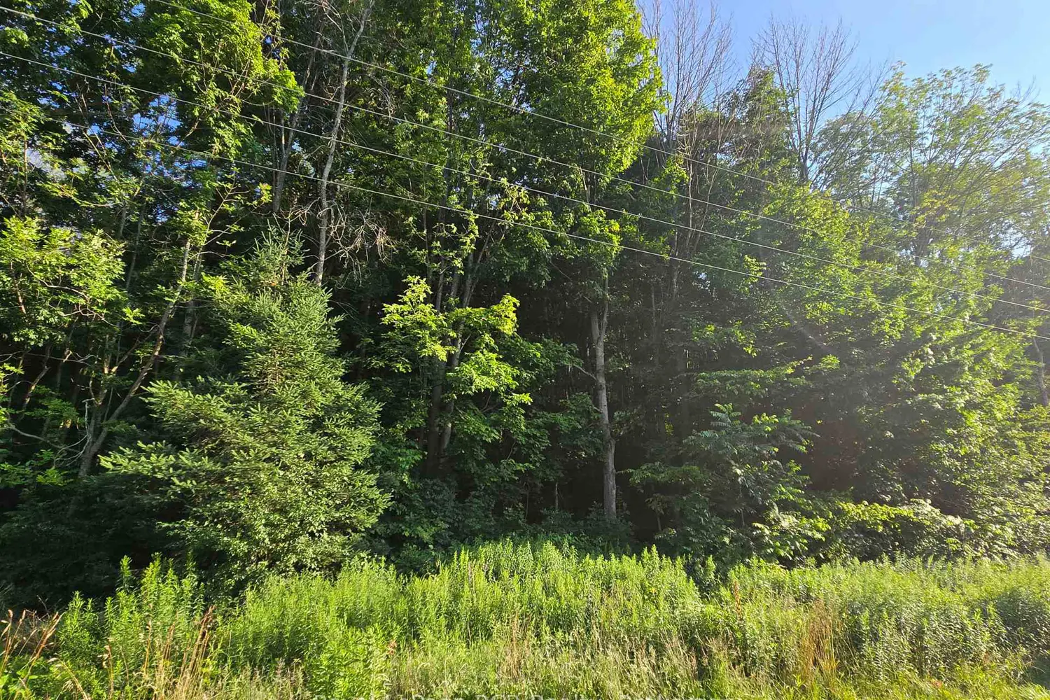 Additional image 10 of 130 Old Highway 26 Highway