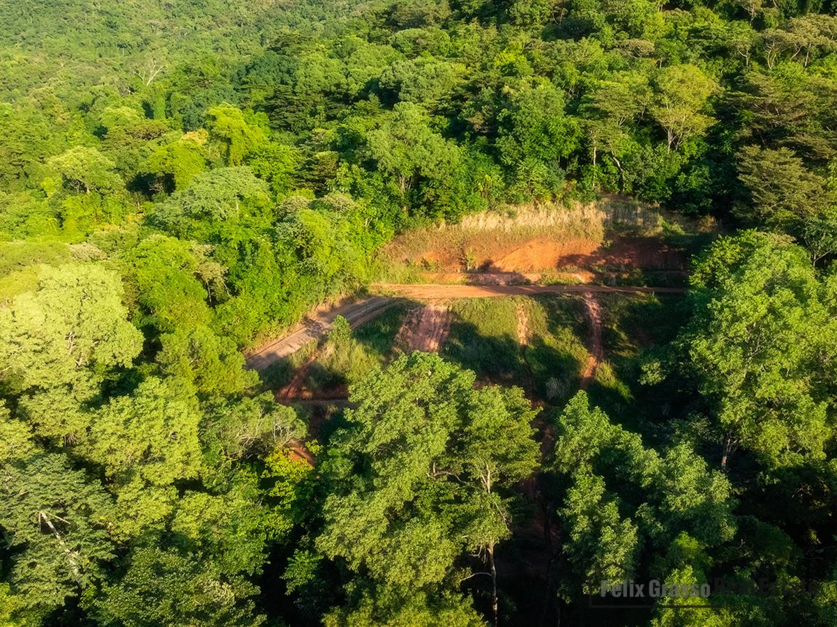 Additional image 10 of 31 Harvey Road, Redlynch QLD 4870